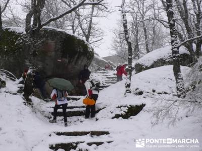 Ruta San Lorenzo de el Escorial - Zarzalejo - Robledo de Chavela _ Silla de Felipe II - Nieve en el 